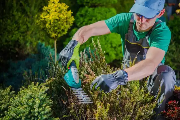landscaping services Wentzville